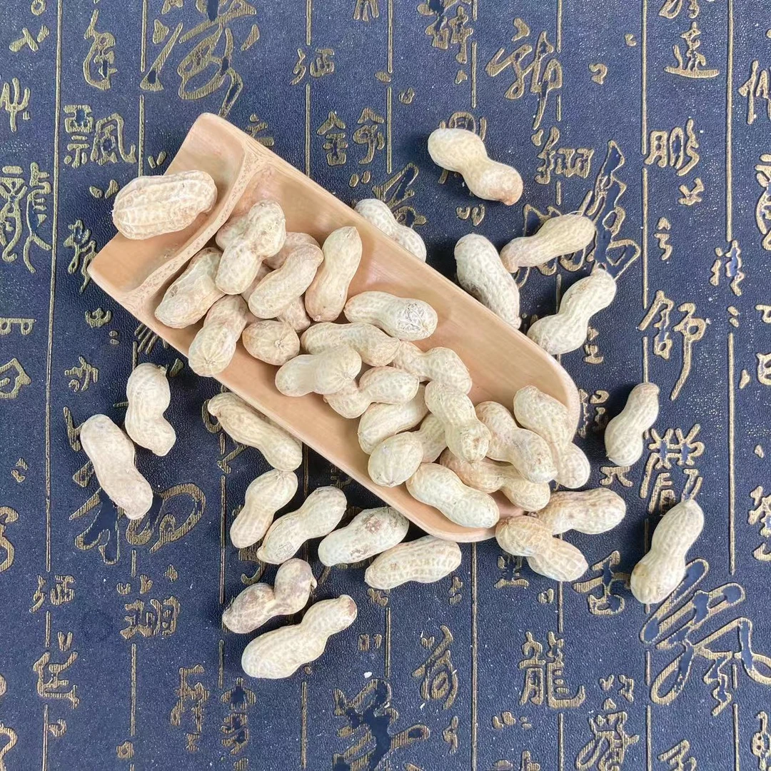 【幸子精选】陈 皮 花 生 500克/包（胶胶）