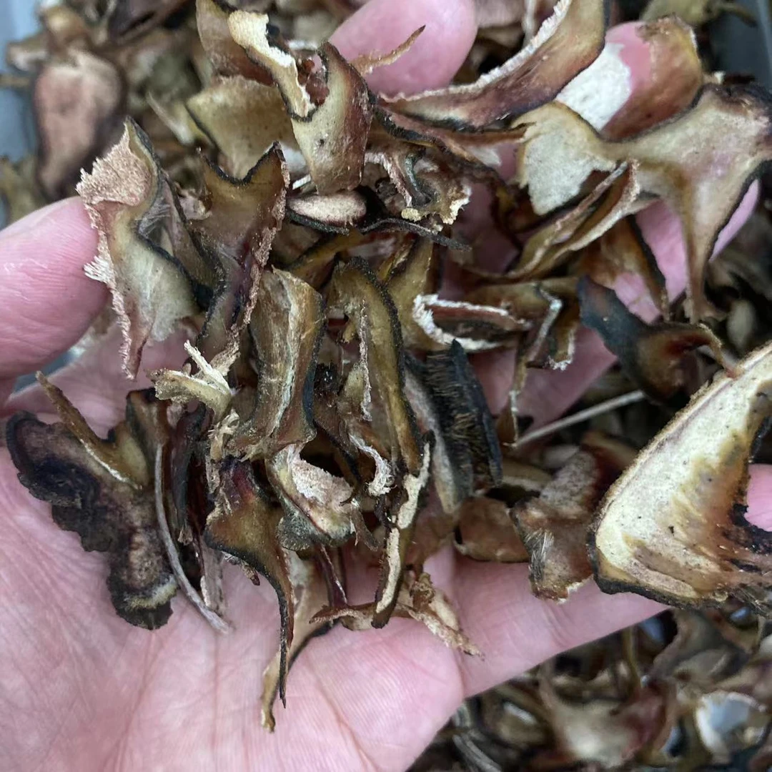 【幸子精选】 靓靓 茸茸 腊碎片 (胶)