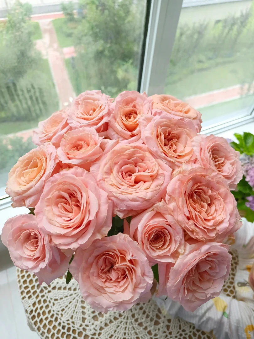 【新疆任意两单鲜花包邮】微光玫瑰10枝