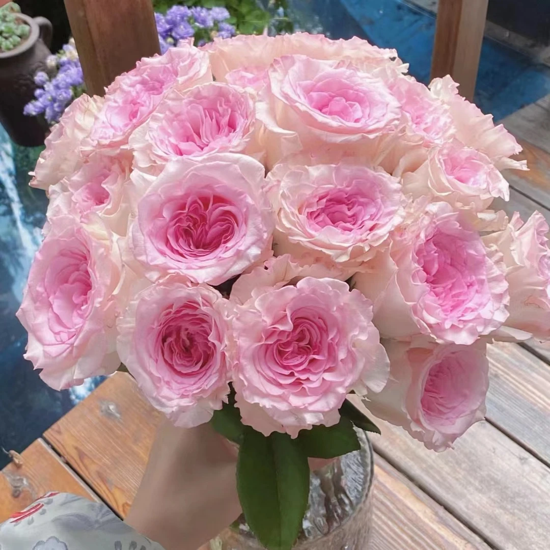 【洛神】10枝单头玫瑰  |全场任意满两单及以上鲜花包邮发货