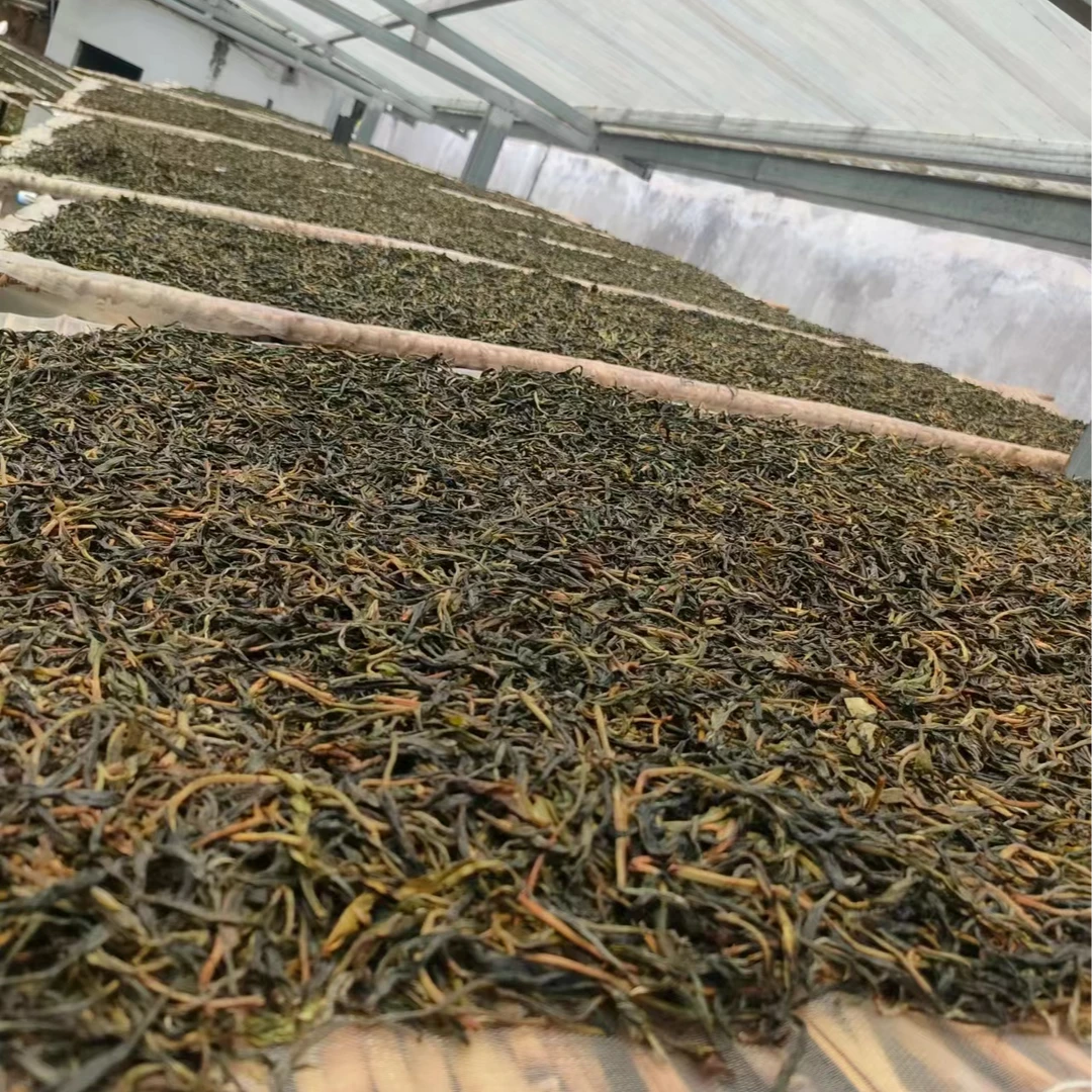 2024年保山古树生茶200克