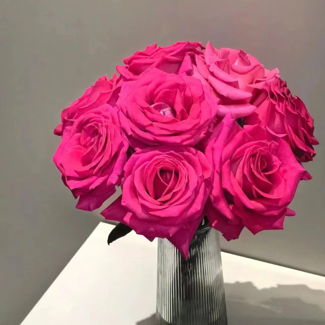 【弗洛伊德】单头玫瑰10枝  （0度以下地区记得加拍2号链接保温棉）