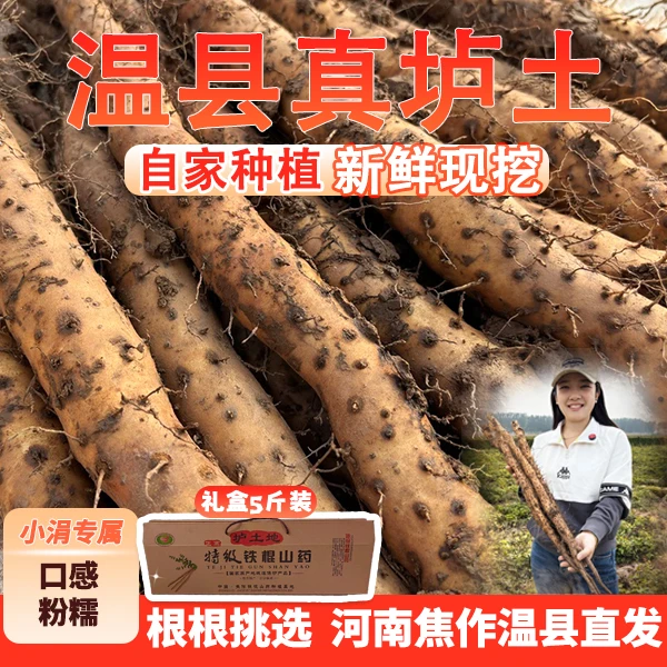 怀食康宜【礼盒5斤装】河南焦作正宗垆土地铁棍山药