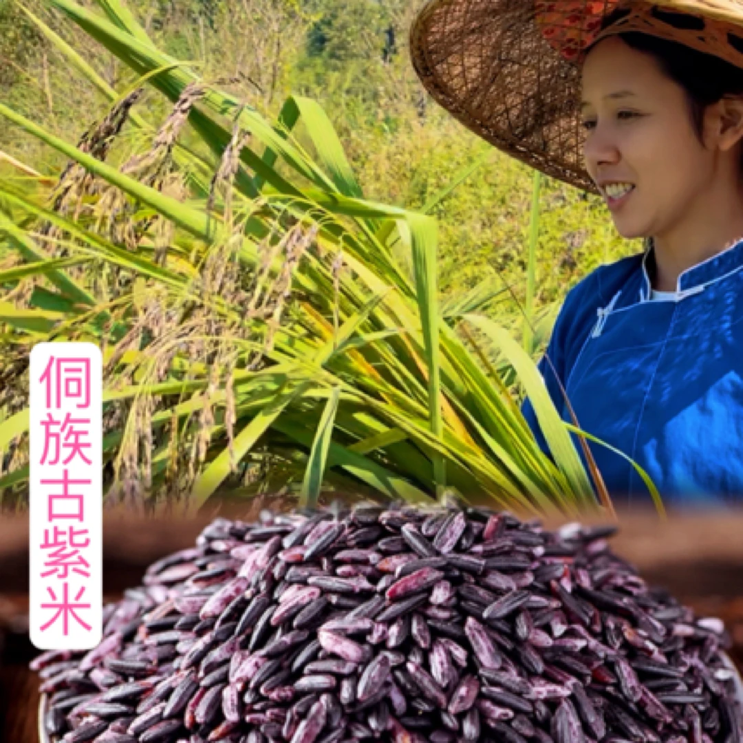 阿菊 湘西侗族古紫米 血糯米 5斤/10斤
