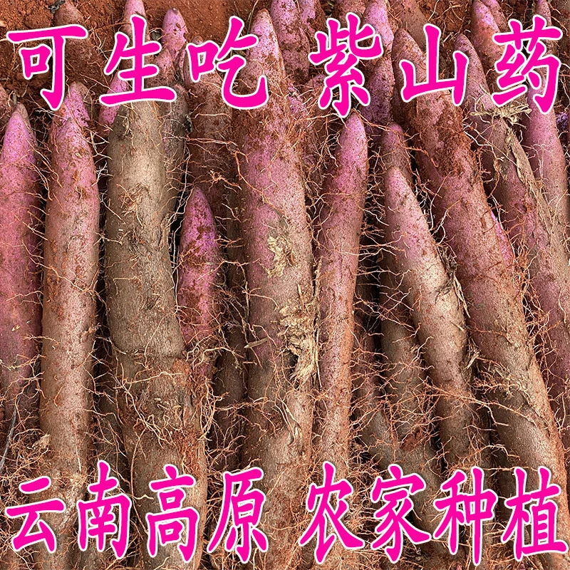 云南高原紫山药3-9斤农家种植现挖现发可生吃营养美味好食材包邮