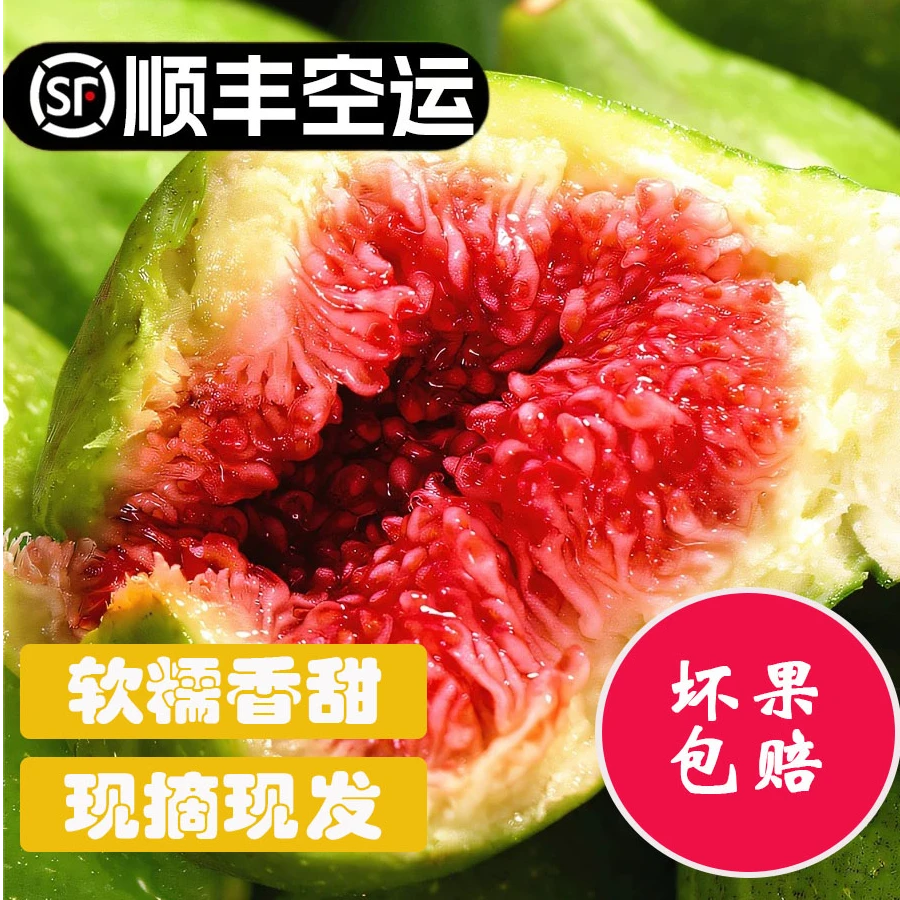 威海青皮无花果新鲜采摘现发软糯香甜【顺丰空运包邮】