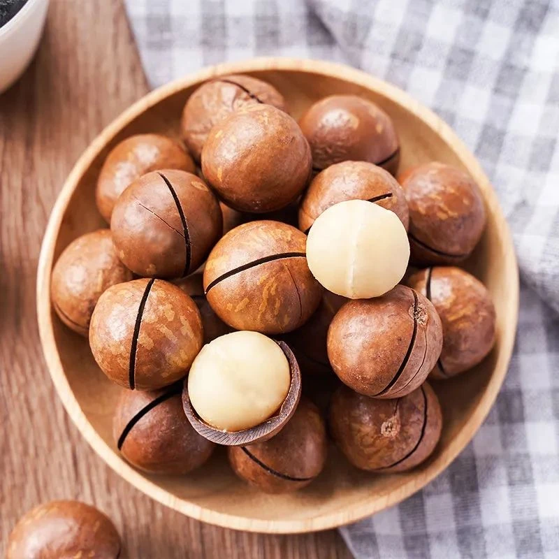 【新货超大颗粒】坚果批发奶油味夏威夷果大颗粒10g原味奶香干果孕