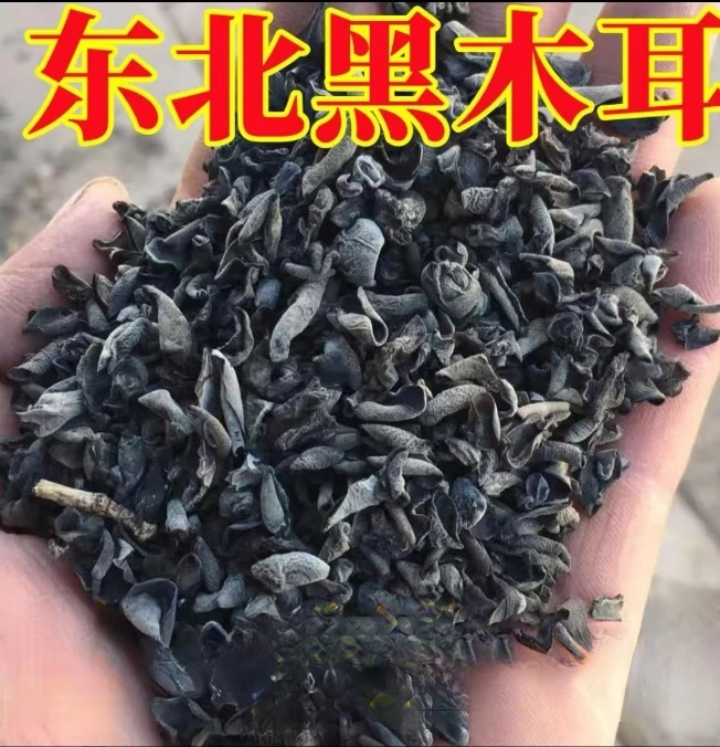 [捡漏价]新货东北黑木耳千货野生小碗耳秋木耳老鼠耳千木耳肉厚