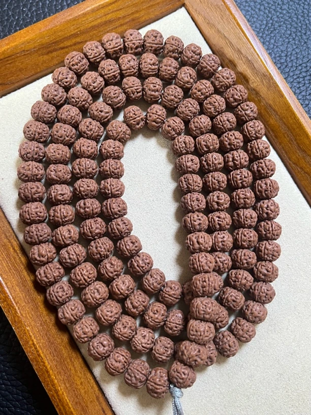 ｛头货｝老树王长串108小金刚菩提