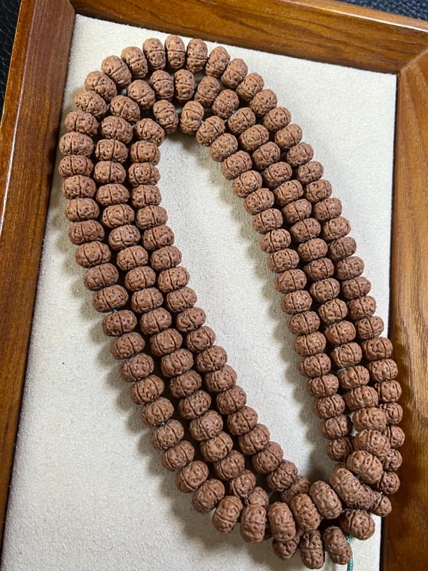 ｛头货｝无人区六瓣老树王长串108小金刚菩提