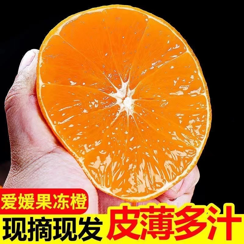 【東方籈选】爱媛38号果冻橙香甜多汁3/5/8斤现摘果园鲜果.