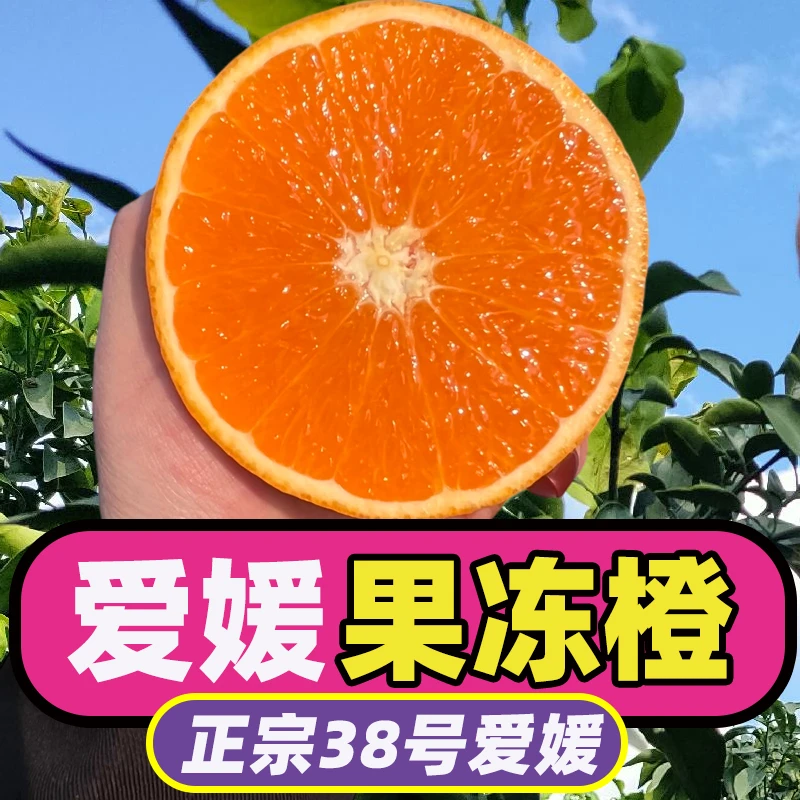 【東方籈选】正宗爱媛38号果冻橙新鲜原产地爱媛果冻橙超甜