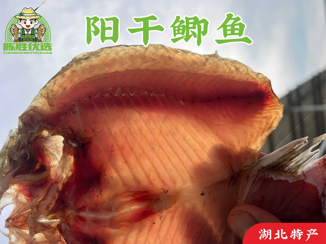 湖北特产斧头湖阳干鲫鱼风干鲫鱼生态鲫鱼土鲫鱼大板鲫腊鱼咸鱼干
