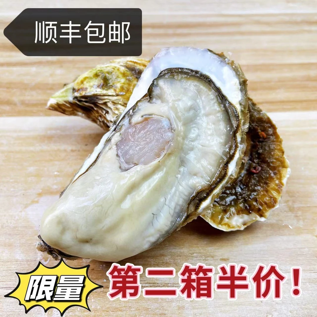 第二箱生蚝半价！ 6斤小包装/乳山牡蛎带包装6斤生蚝净重4斤