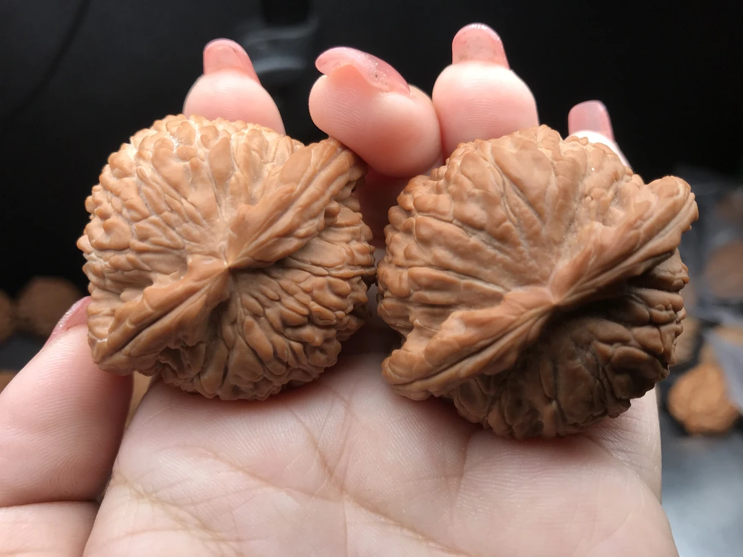 43白狮子文玩核桃，大肚厚边，平底线状气门，上色快，核友们的大