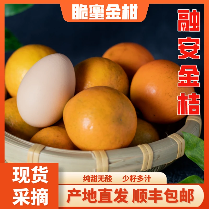 【果王装】广西融安脆蜜金桔脆蜜金柑30颗精选果王高端礼盒送礼装