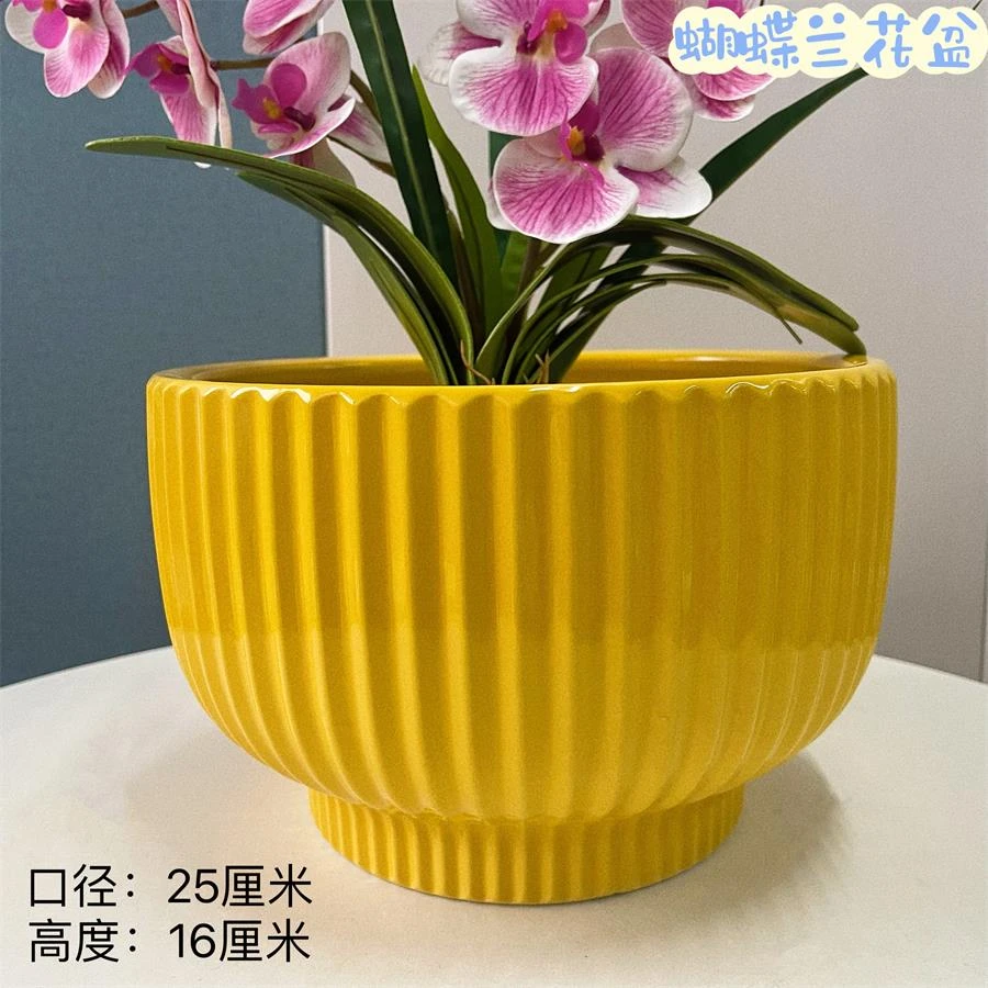（橙子专属）中号黄色竖纹蝴蝶兰口径25高度16陶瓷花盆家用客厅花盆