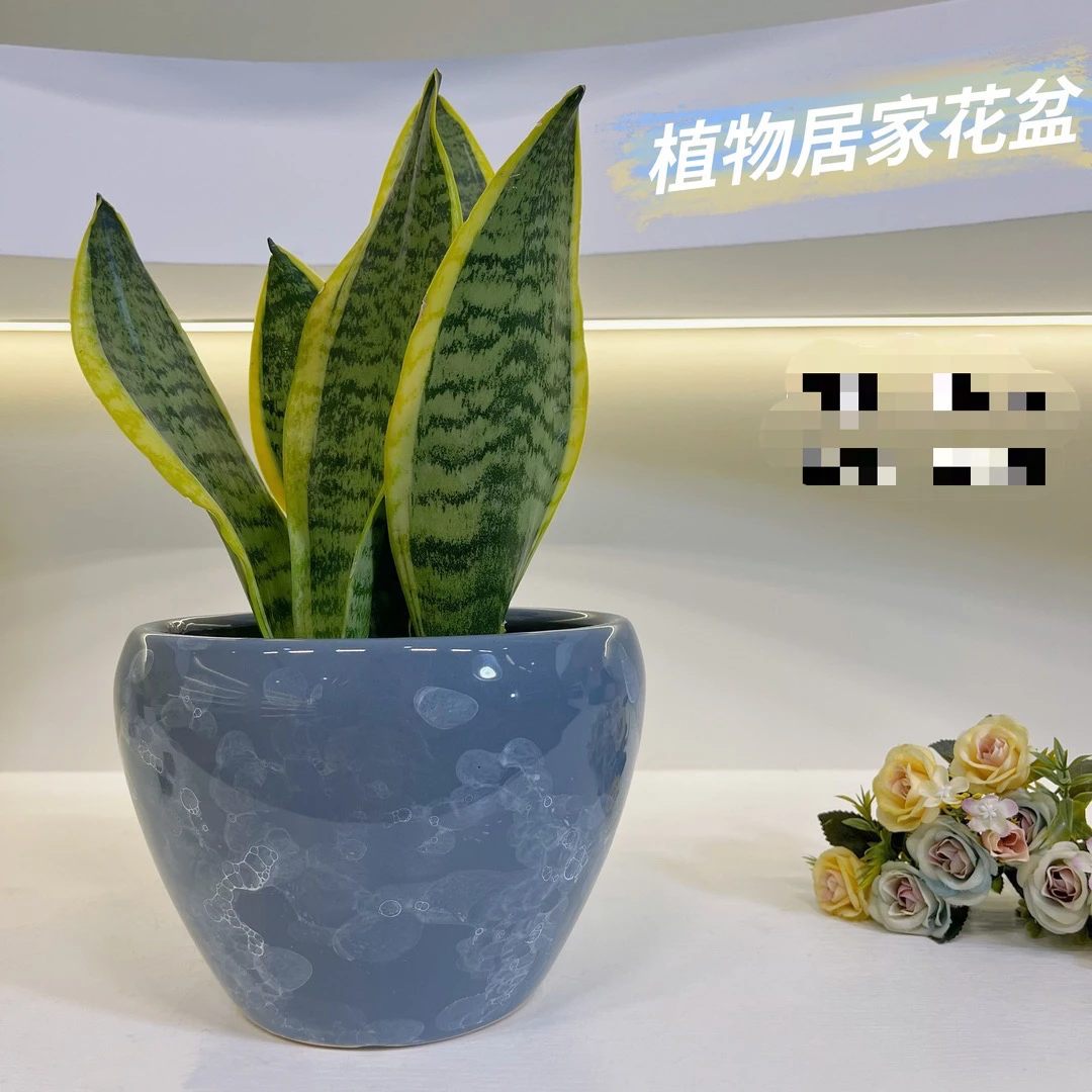 （橙子专属）灰爆白苹果口15高12陶瓷花盆家用绿植盆栽花盆