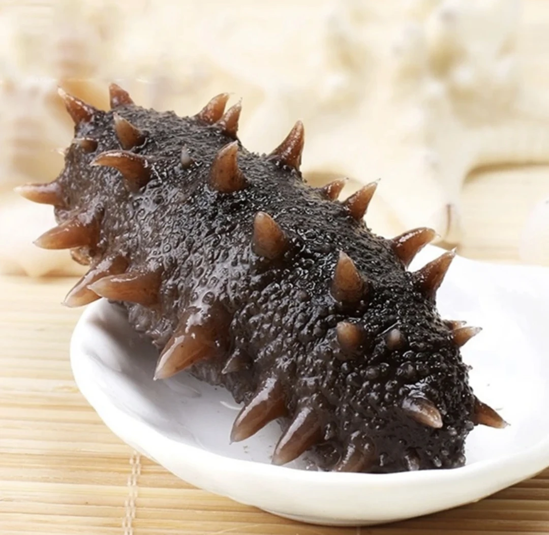大连长海县深海底播 即食海参 （顺丰包邮）（无售后）