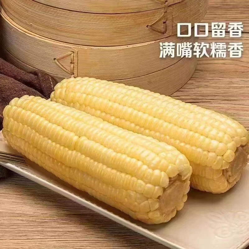 老妈家小叶苞米(邮政EMS同城快递包邮)