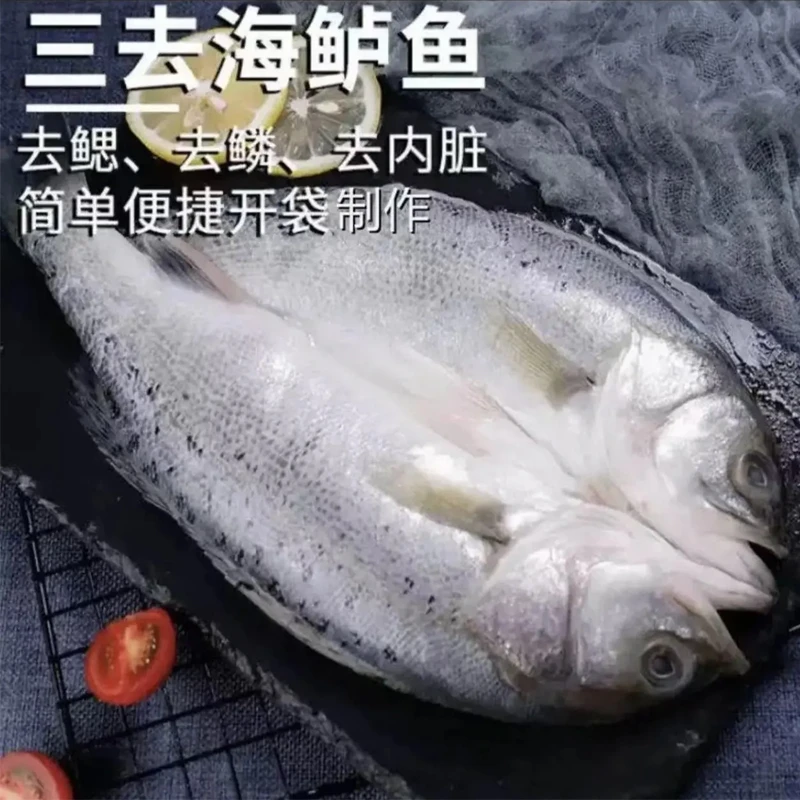 连云港发货新鲜三去海鲈鱼开背去鳞去内脏海鲈鱼500g/条左右*5条