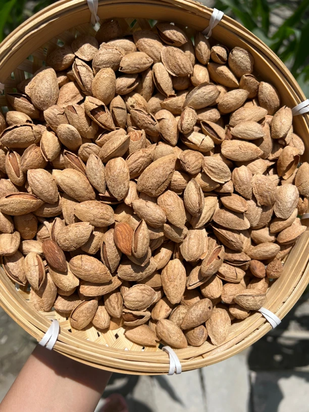 新疆原味无添加薄NP熟巴旦木，西梅干组合装