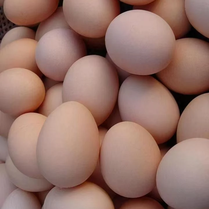 农户自家散养土鸡蛋