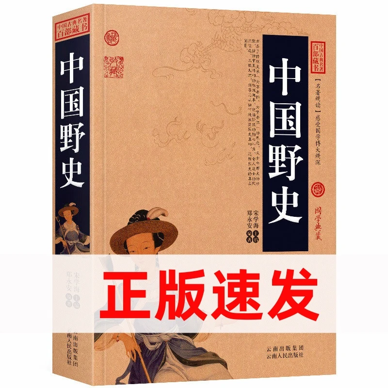 中国野史 中华野史历史通史大清王朝上下五千年趣闻故事阅读书籍
