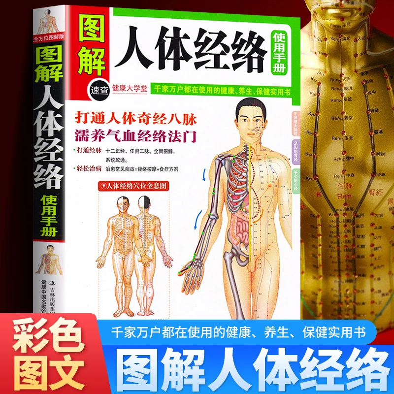 图解人体经络使用手册 穴位按摩人体经络家庭中医保健养生书籍