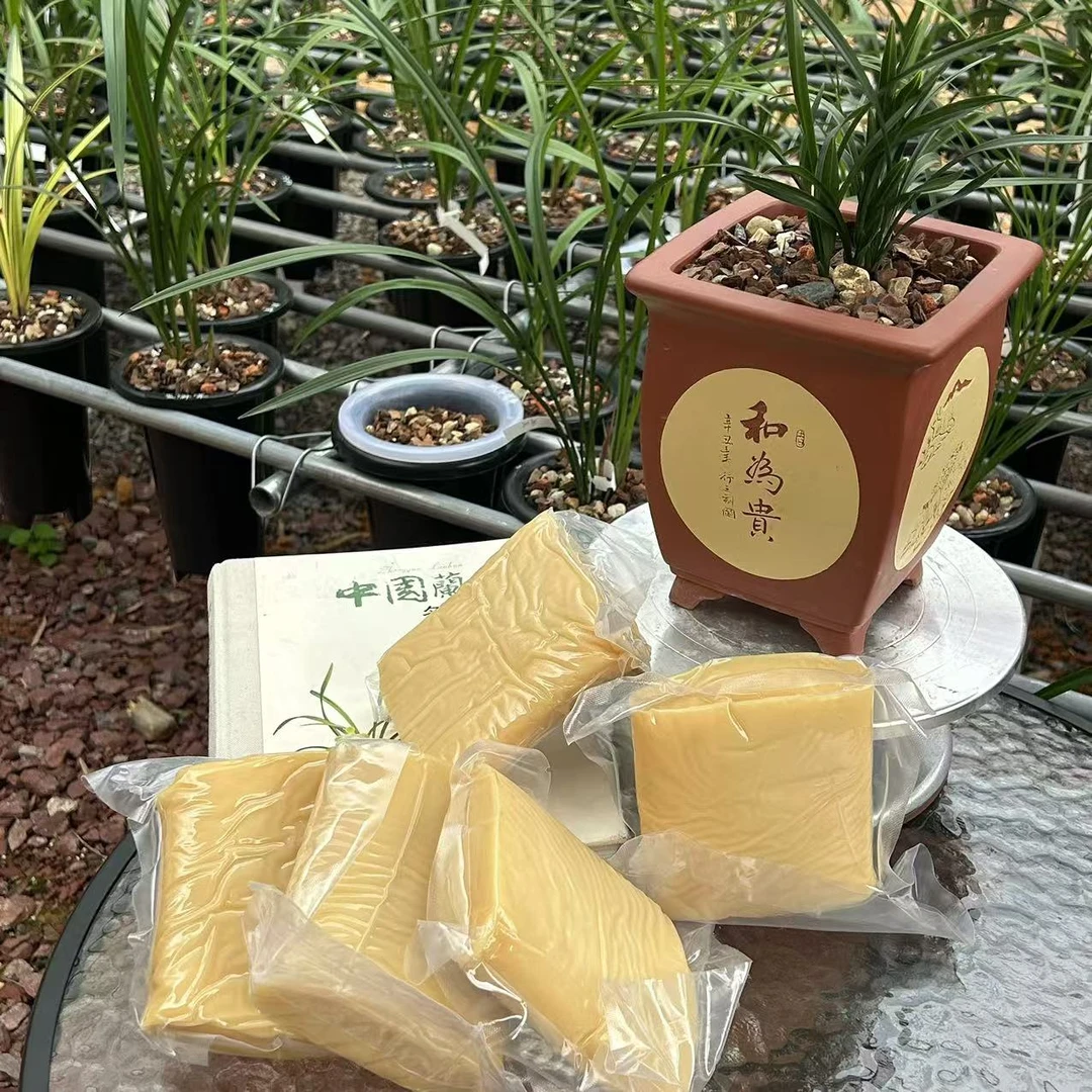 阳荣兰花 闽北特产 特粳米黄果 年糕 好吃方便简单