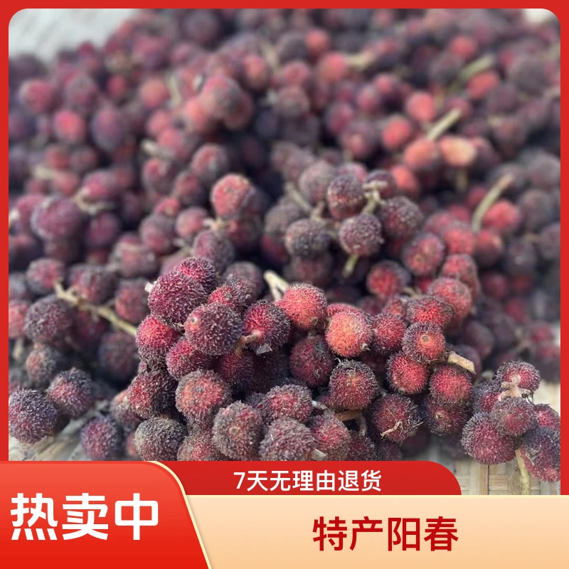 阳春特产春砂仁鲜老果