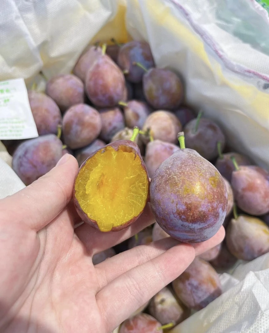 净重3.5斤左右 新疆法兰西梅 口感好