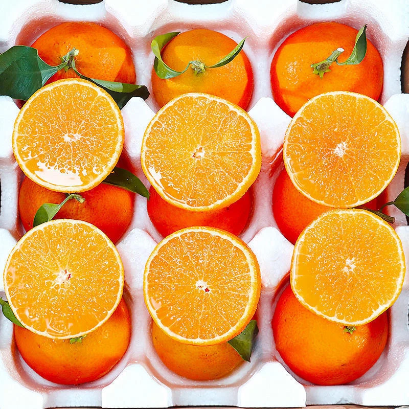 【与辉同行东方甄选】爱媛38号果冻橙正宗四川现摘新鲜品质果香甜