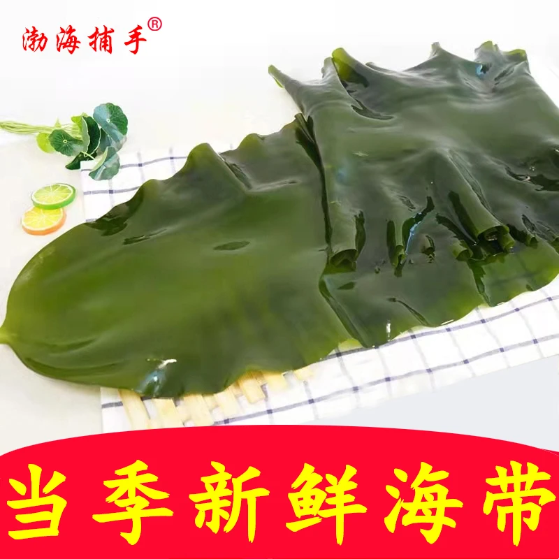 大连新鲜盐渍海带(几乎无盐)5斤/含箱