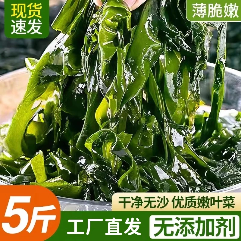 【抢】大连盐渍海菜叶凉拌菜火锅煲汤【5斤/含箱】