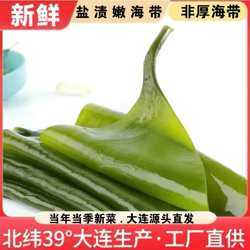 大连新鲜盐渍海带包饭凉拌煲汤火锅【约5斤/含箱】