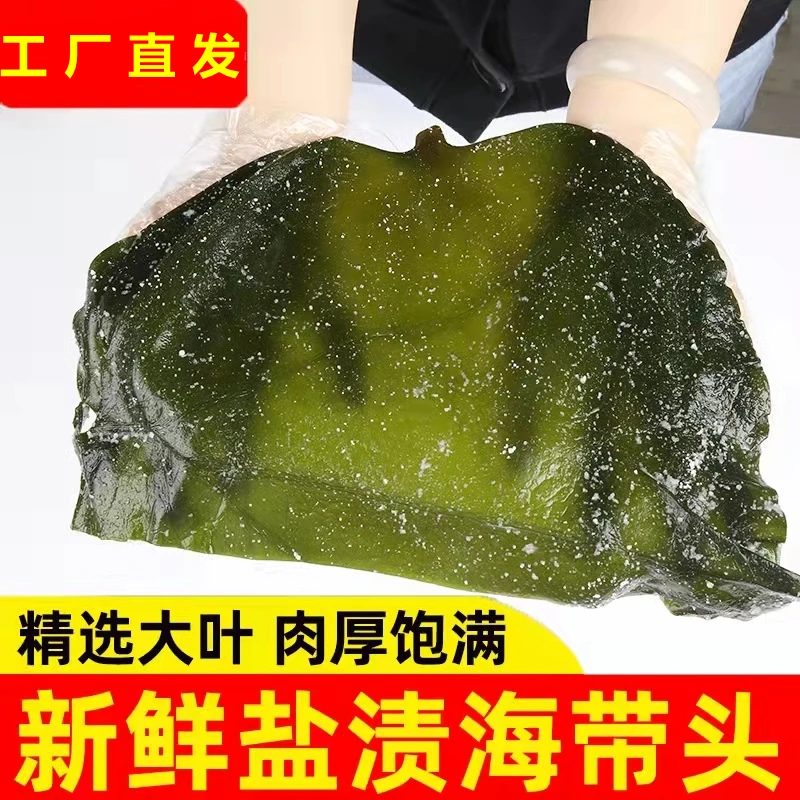大连盐渍海带头5斤/含箱