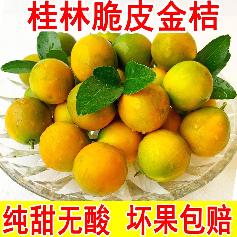 桂林脆皮小金桔水果新鲜广西桔子纯甜无酸橘子整箱包邮