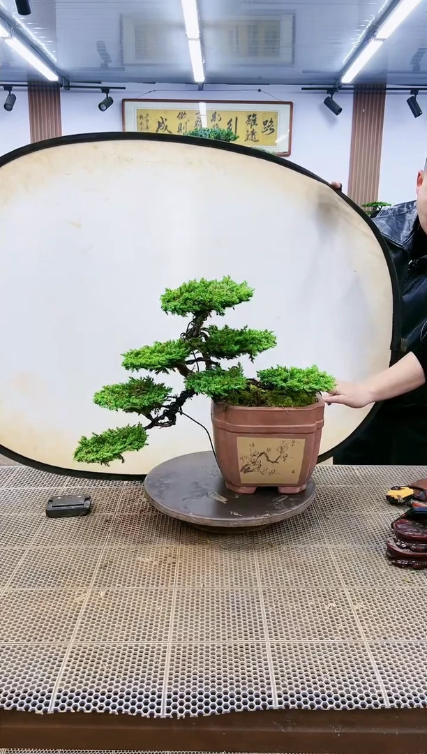 【闪购商品】一物一拍，所见即所得