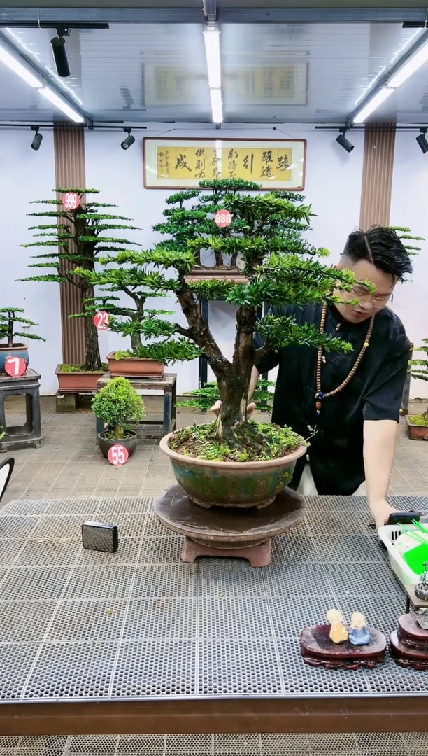 【闪购商品】1一物一拍，所见即所得