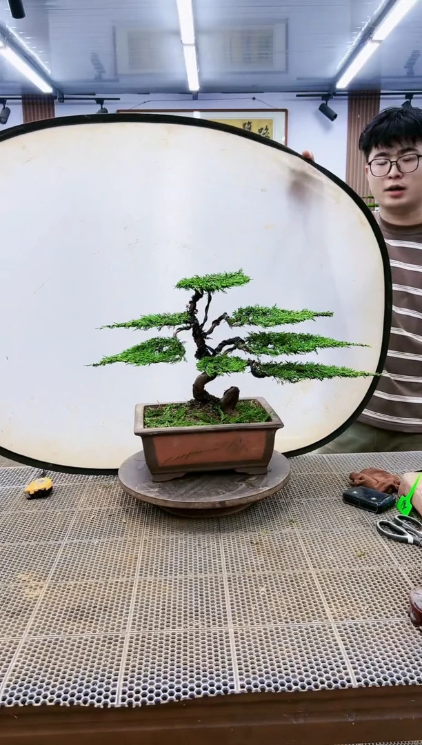 【闪购商品】00000000