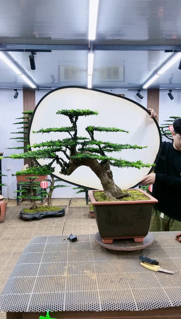 【闪购商品】000000000