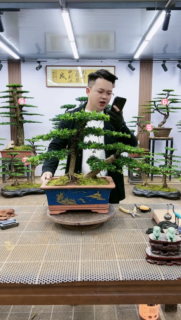 【闪购商品】一物一拍，所见即所得