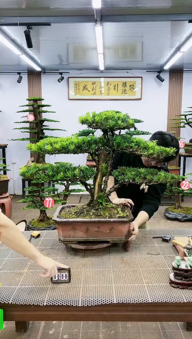 【闪购商品】00000000