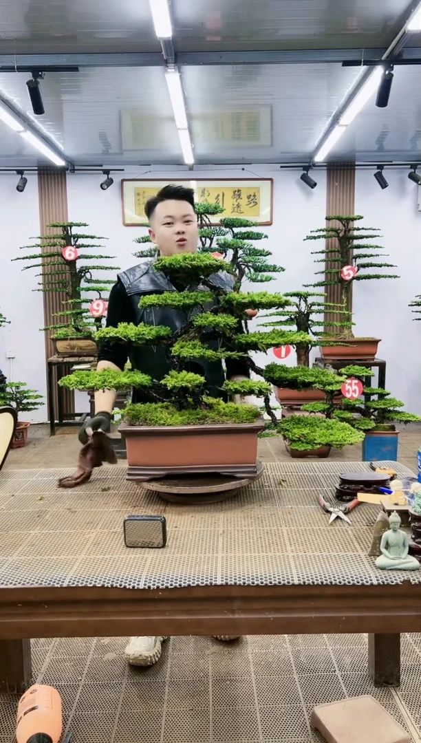 【闪购商品】一物一拍，所见即所得