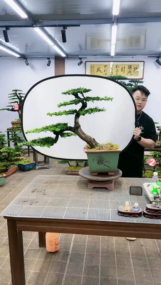 【闪购商品】1一物一拍，所见即所得