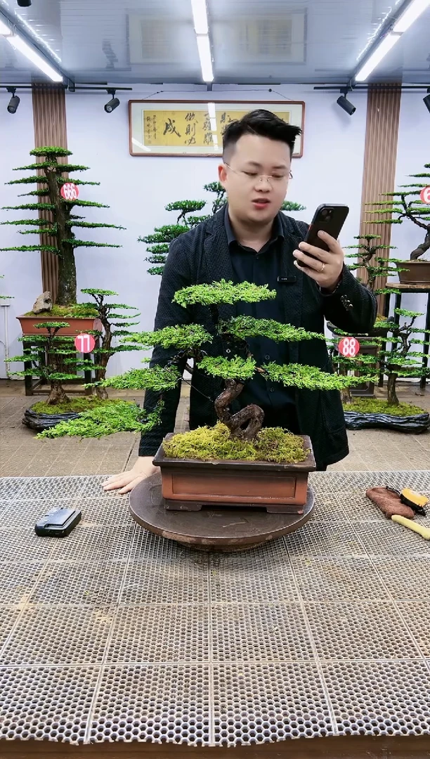 【闪购商品】一物一拍，所见即所得