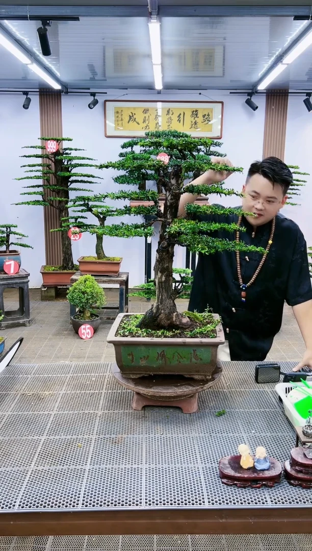 【闪购商品】1一物一拍，所见即所得