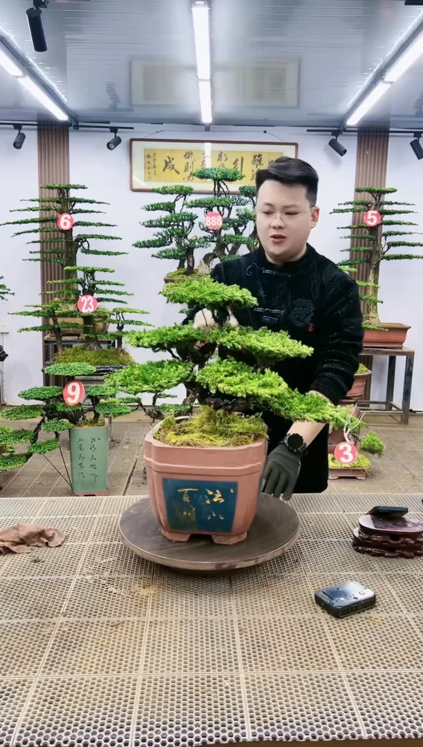 【闪购商品】一物一拍，所见即所得