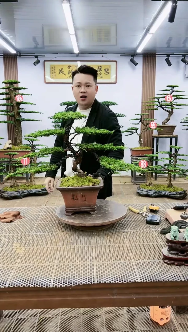 【闪购商品】一物一拍，所见即所得